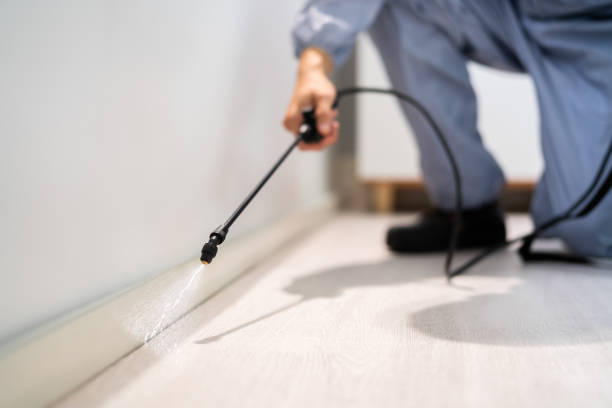 Licensed Pest Control service in Tchula, MS - Show Me Pest Control